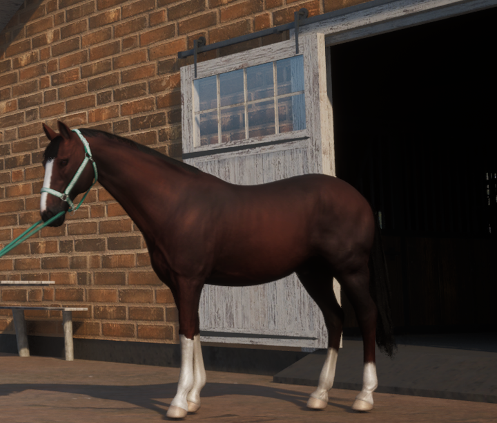 Nouveau cheval