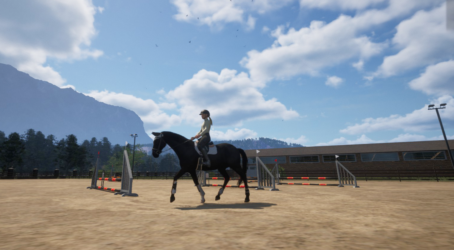 Valorisation de chevaux